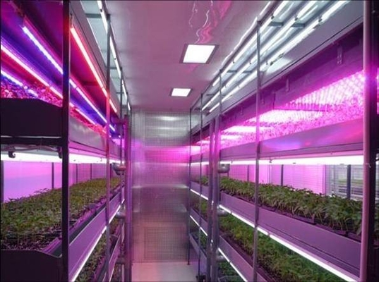 T8 LED ışıkları büyümek Bitki Su geçirmez, kapalı bitki ve bitkileri ışıklar büyümeye LED